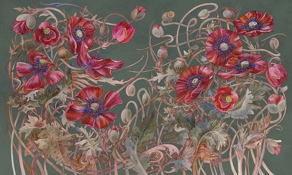 Фотообои и фрески на стену - цветы, маки, красные, на темно сером фоне