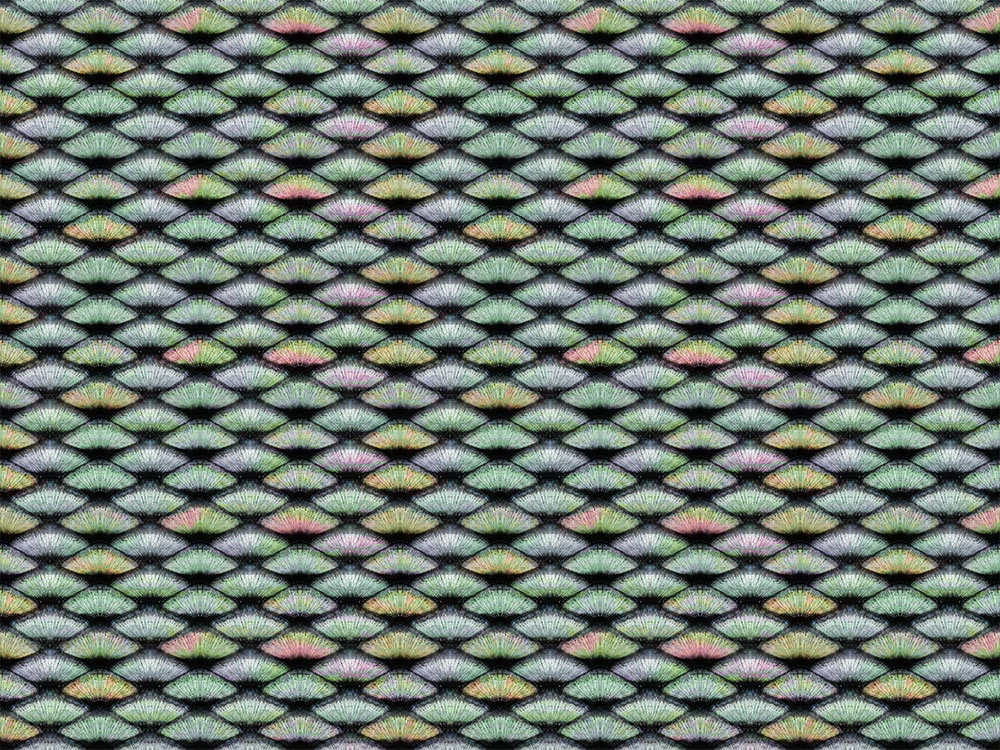 Фотообои и фрески на стену - в ванную комнату, узор, разноцветный