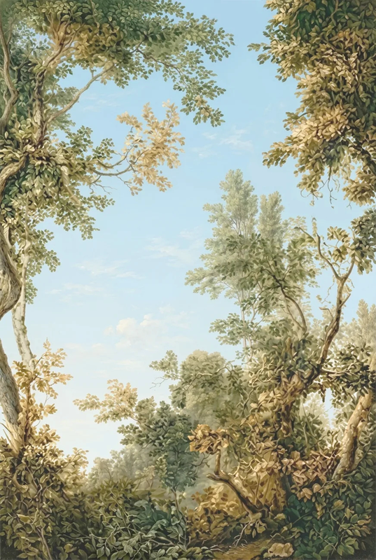 Фотообои на стену - пейзаж, зеленый пейзаж, ветки, листья, барокко