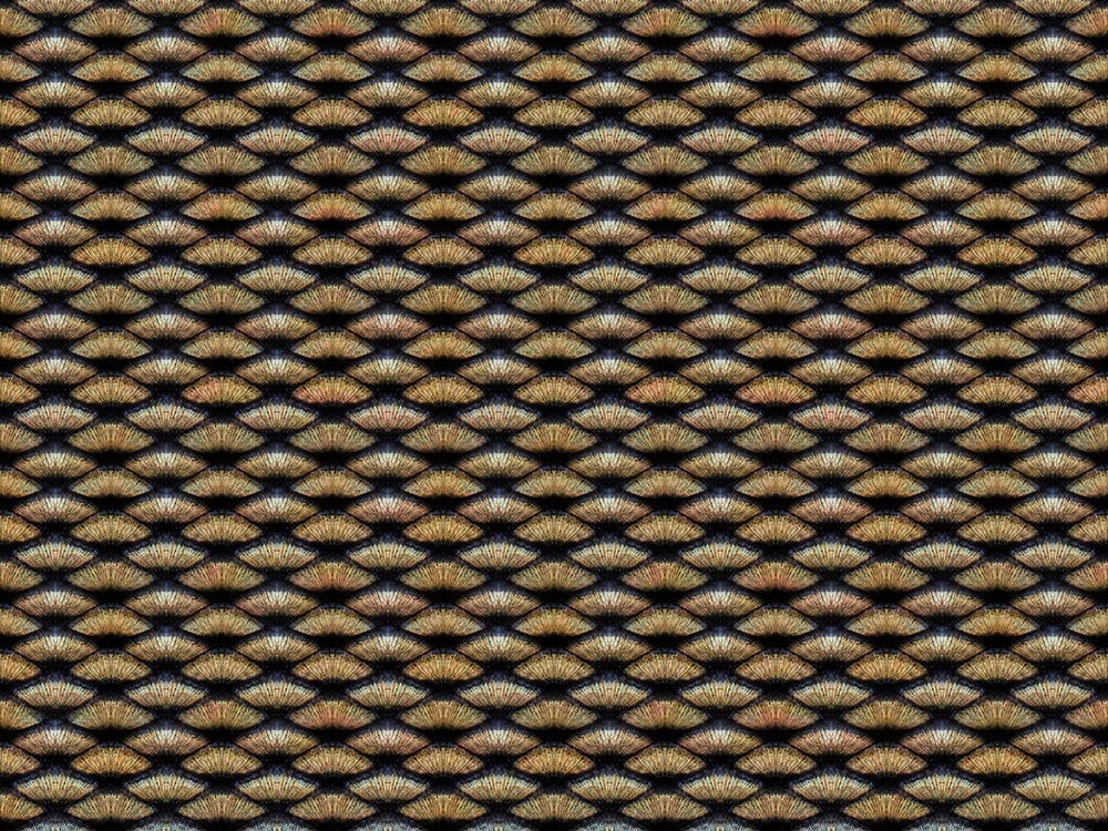 Фотообои и фрески на стену - в ванную комнату, узор, черно-бежевая