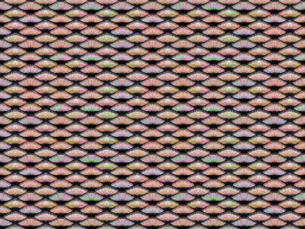 Фотообои и фрески на стену - в ванную комнату, узор, желто-розовая