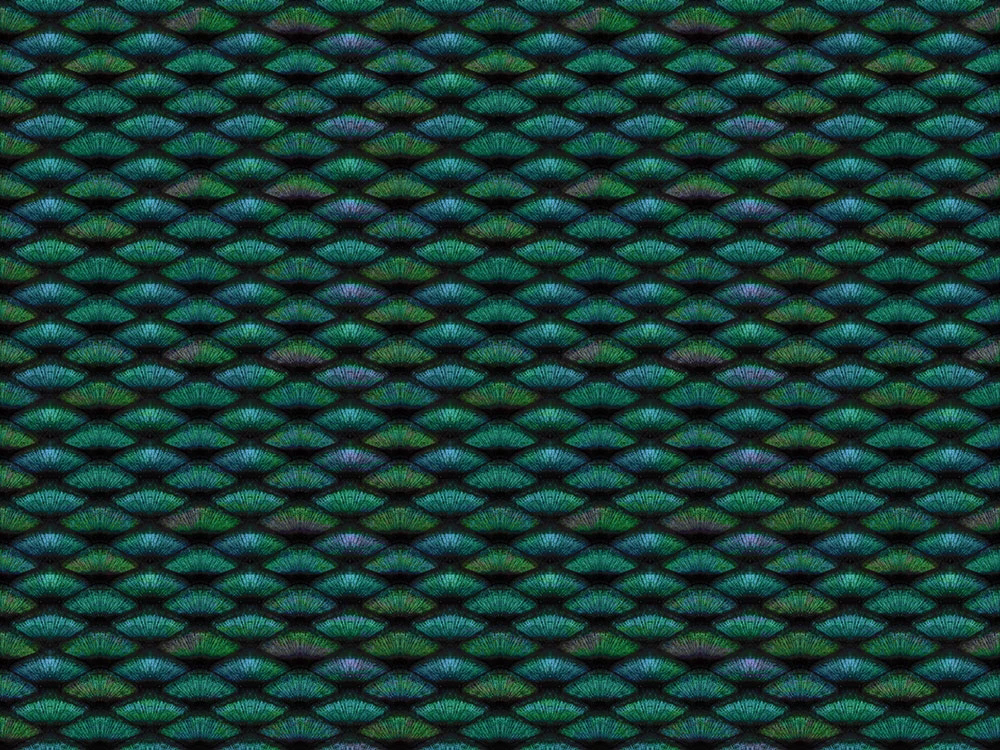 Фотообои на стену - в ванную комнату, узор, темно зеленая, черно-зеленая