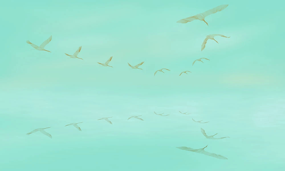 Фотообои и фрески на стену - графика, птицы, журавли, небо, бирюзовая