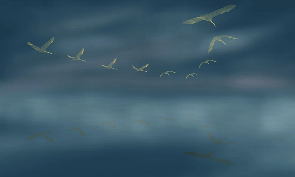 Фотообои и фрески на стену - графика, птицы, журавли, небо, темно синяя