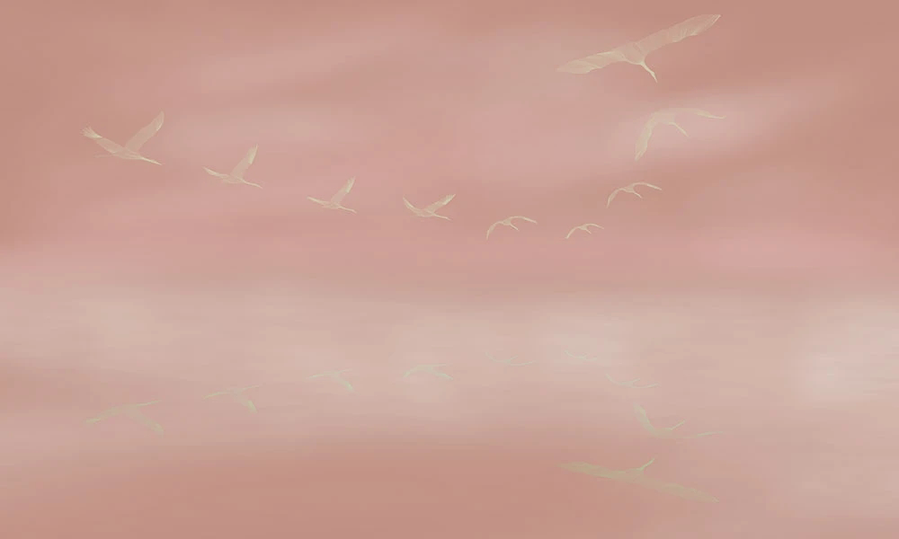 Фотообои и фрески на стену - графика, птицы, журавли, серо-розовая
