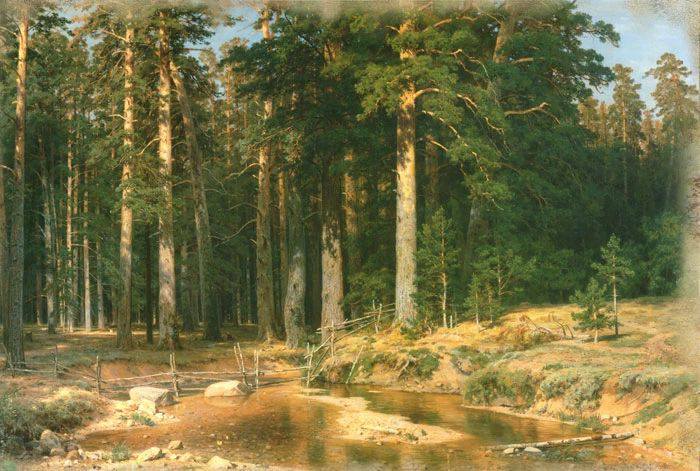 Фотообои и фрески на стену - пейзаж, русский, река, сосны