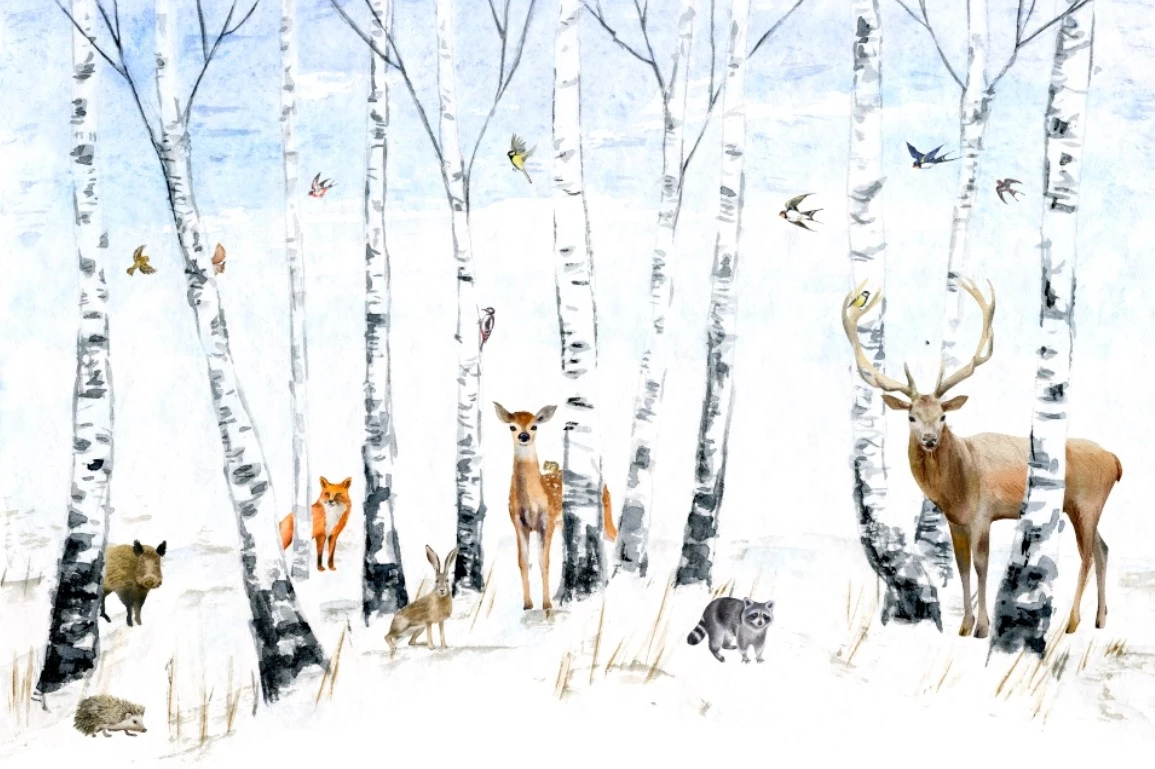 Фотообои и фрески на стену - снегири, белый, зимний, дерево, птицы, береза, ежик, лиса, олень, зима, енот, ласточки, лес, животные, снег, зайца
