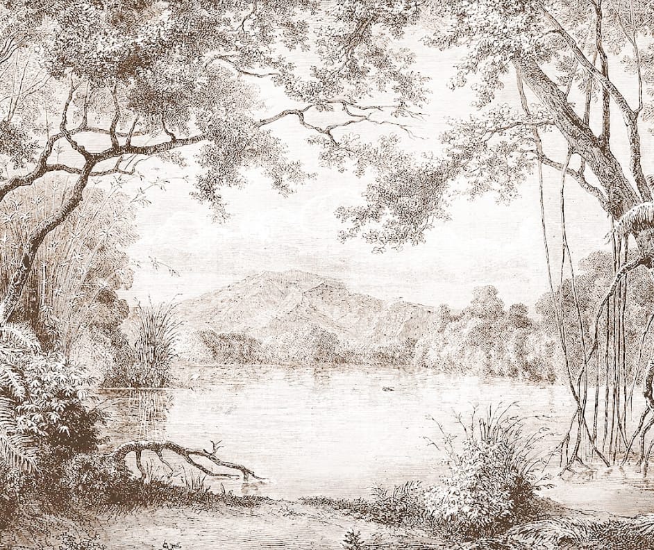 Фотообои на стену - черно-белые, красивые, картинки, классные, маленькая спальня, графика, в сером интерьере, крутые, современные, бежевые, в спальню, качество, над кроватью, в серых тонах, бесшовные, популярные, деревья, дизайн спальни, модные, лес, парк, на стекловолокне, флизелиновые, черно белые расширяющие, лучшие фрески, бело черные, в интерьере спальни 2022, модные в спальню  