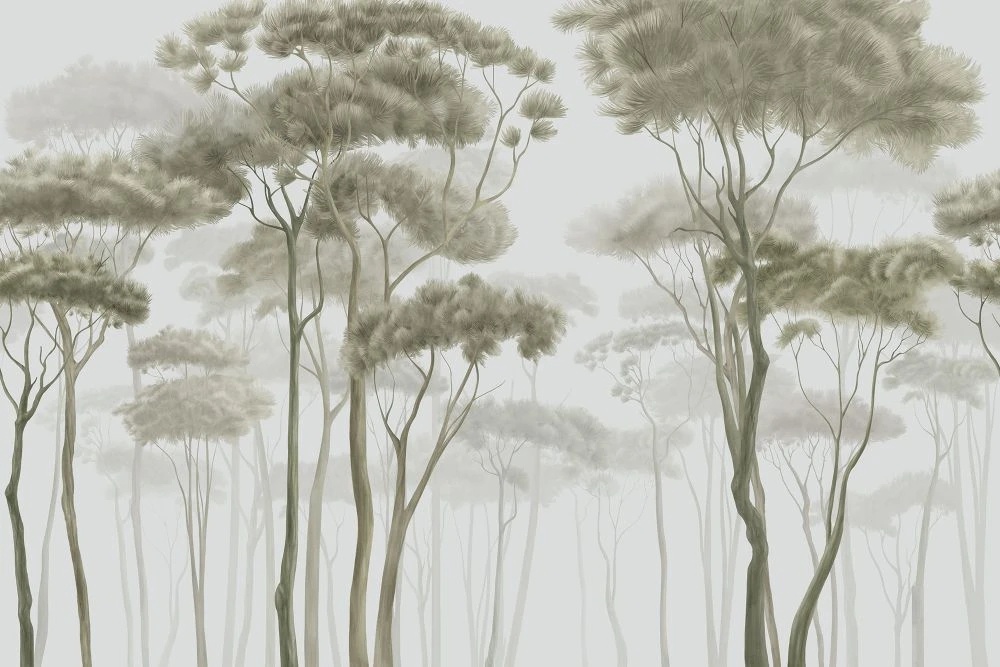 Фотообои и фрески на стену - пейзаж, лес, деревья, сосны, светлые, серо-зеленая