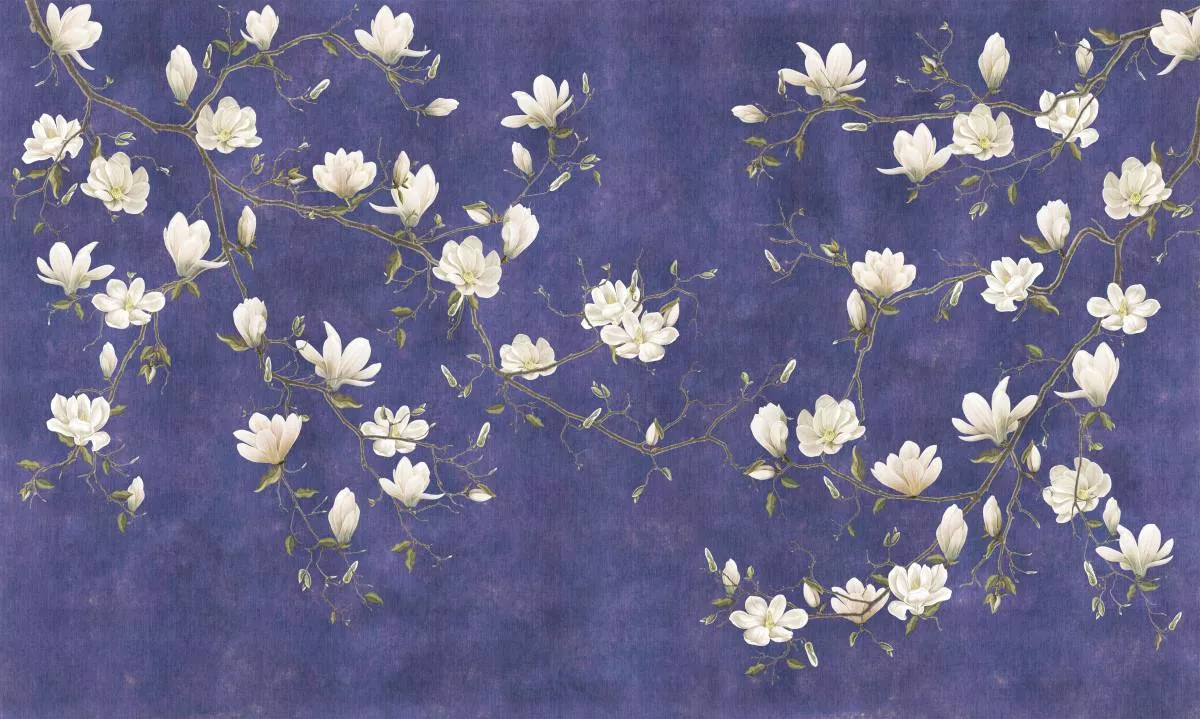 Фотообои и фрески на стену - ветки магнолии, белые магнолии, на фиолетовом фоне, белые цветы, на синем фоне