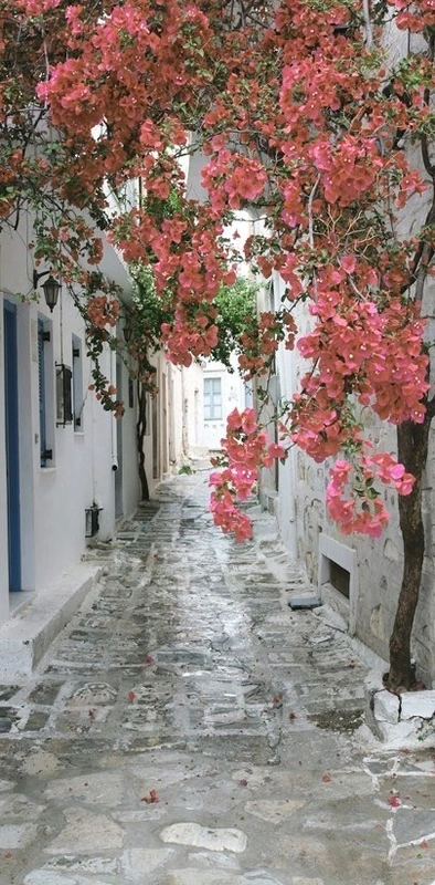 Фотообои и фрески на стену - улочки, города, узкие, дерево, розовые, камень, в коридор, расширяющие пространство, серые стены