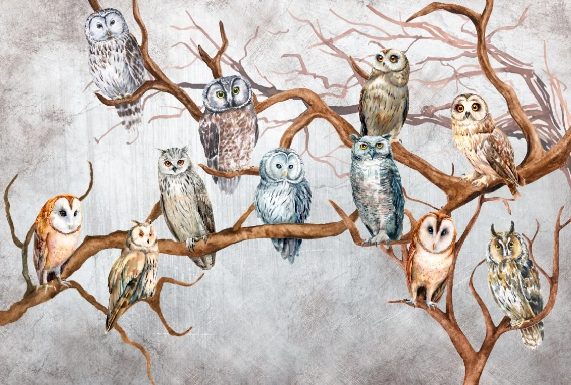 Фотообои и фрески на стену - природа, птицы, лес, ветки, зима, совы