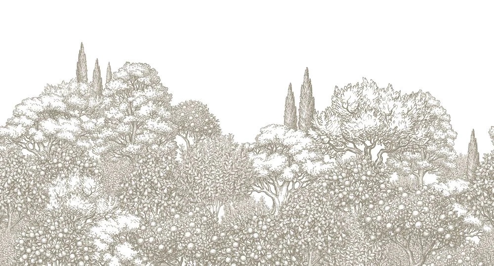 Фотообои и фрески на стену - пейзаж, лес, деревья, графика, гравюра, серо-бежевая