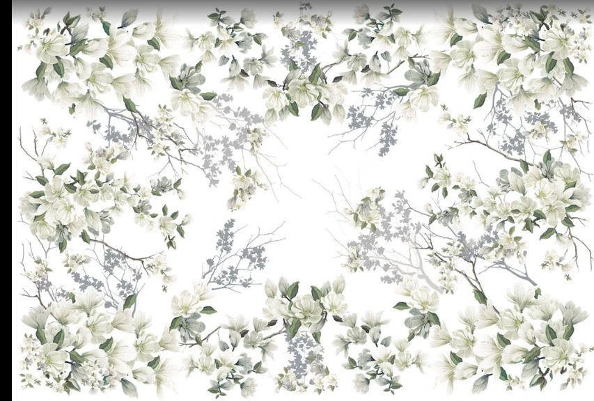 Фотообои и фрески на стену - цветы, магнолии, на белом фоне