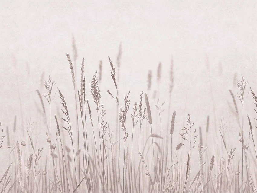Фотообои на стену - современные, бежевые, колоски