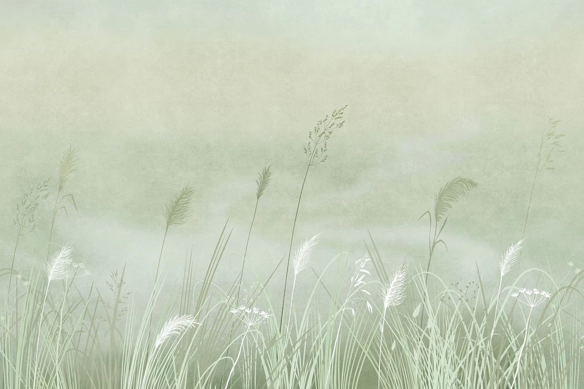 Фотообои на стену - современные, салатовые, зеленые, колоски, колосья