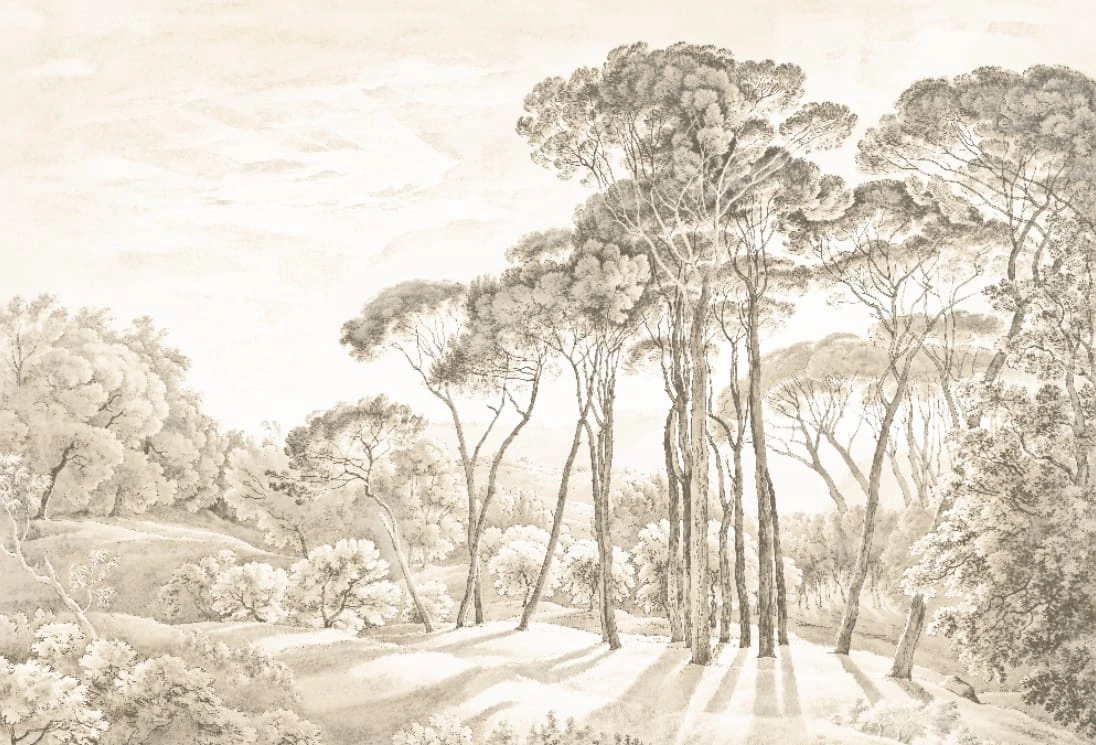 Фотообои на стену - графика, бежевые, сосны