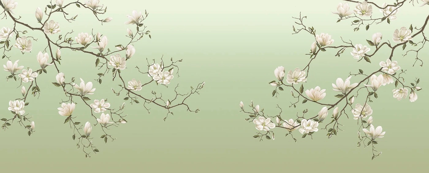 Фотообои на стену - цветы, ветки, магнолии, на зеленом фоне, белые