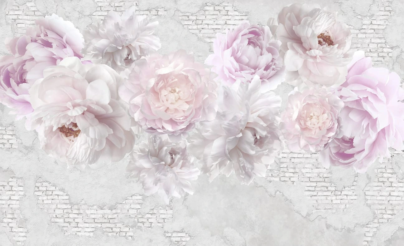 Фотообои на стену - пионы, на кирпиче, на штукатурке, бело-розовые