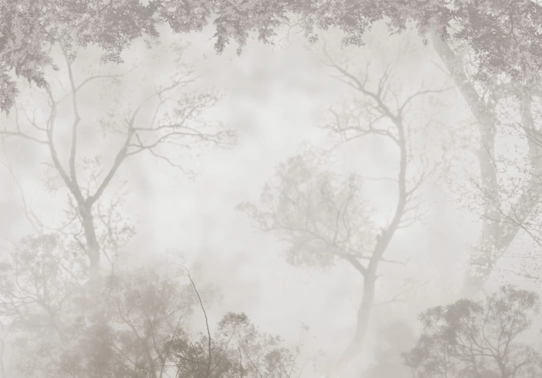 Фотообои на стену - пейзаж, лес в тумане, деревья светлые