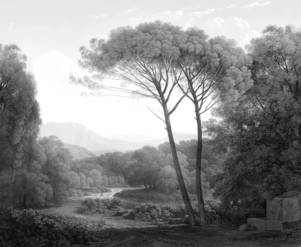 Фотообои на стену - графика, природа, пейзаж, лес, расширить пространство, сосны, 3д