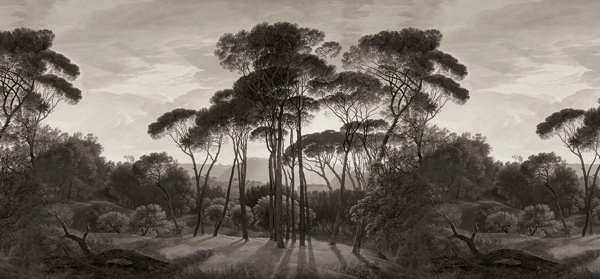 Фотообои на стену - графика, пейзаж, природа, сосны, лес, 3д