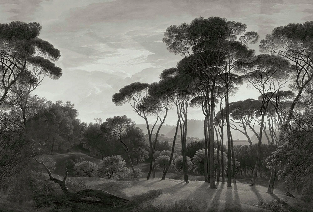 Фотообои на стену - графика, пейзаж, природа, сосны, 3д, лес