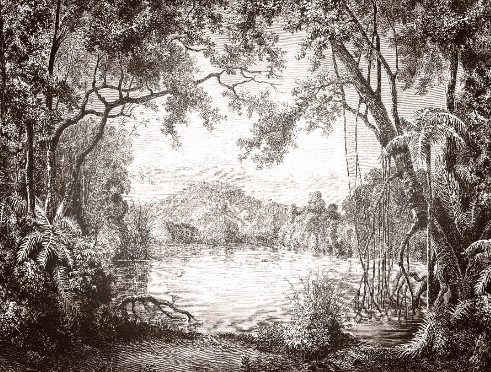 Фотообои на стену - наши работы, графический пейзаж, парк, в ванную комнату