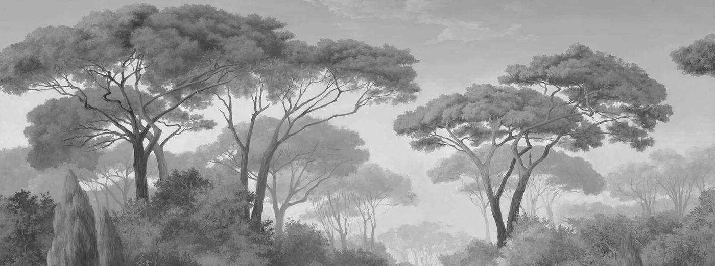 Фотообои и фрески на стену - пейзаж, деревья, черно-белые, 3д, лес