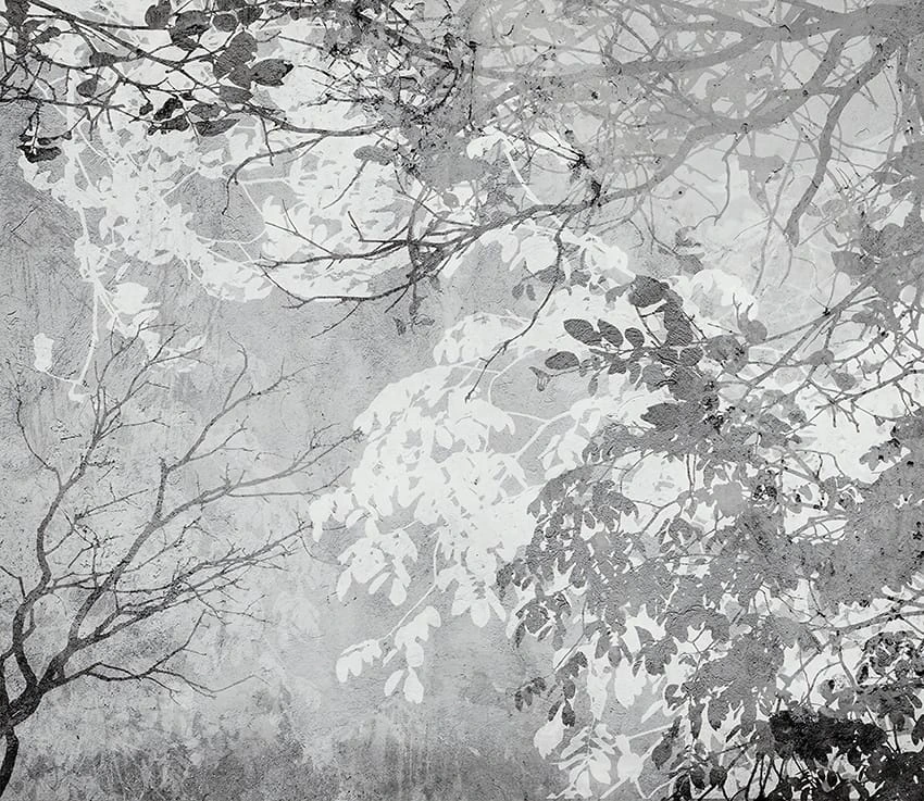 Фотообои на стену - современные, ветки, черно-белые
