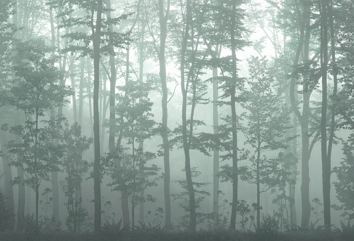 Фотообои на стену - современные, бирюзовые, зеленые, стволы, деревья в тумане