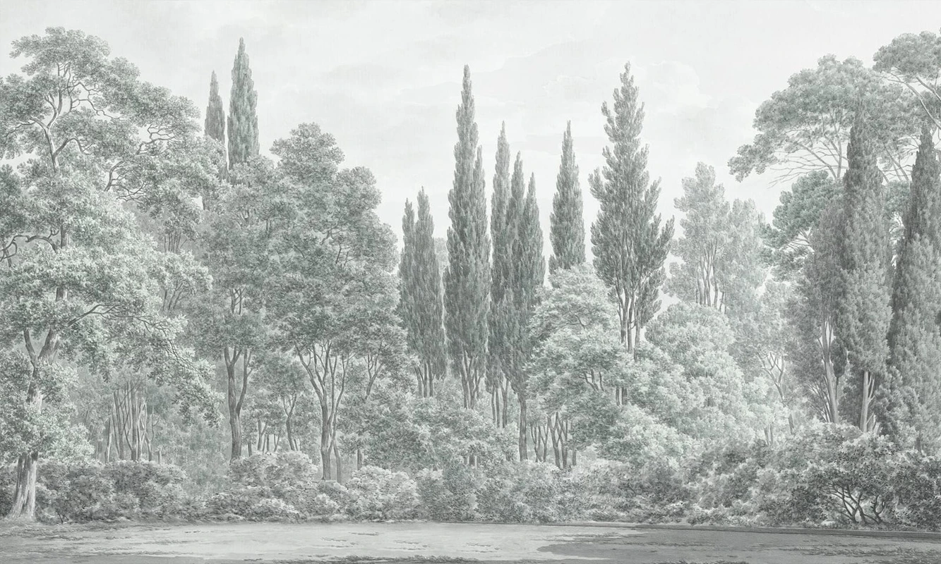 Фотообои на стену - пейзаж, серо-зеленые, лес, пихты, новинки