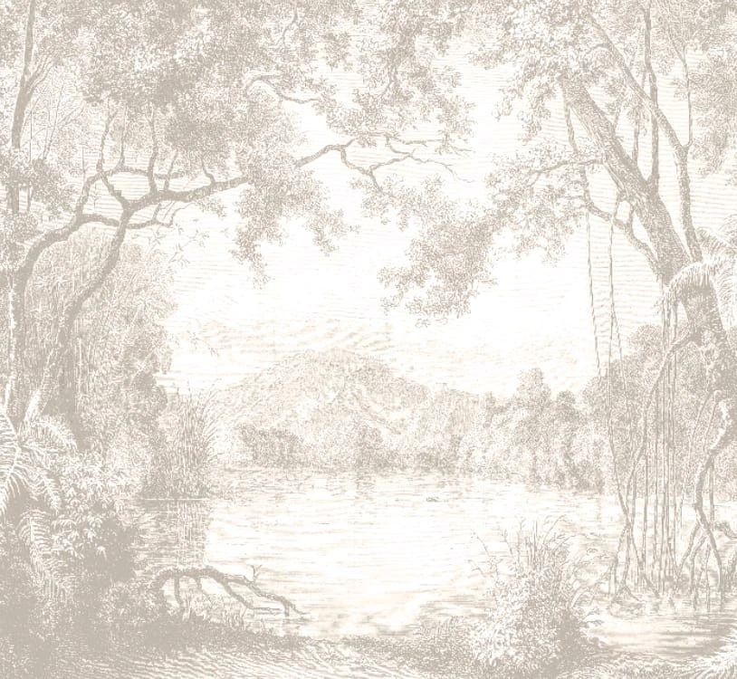 Фотообои на стену - графика, современные, парк, светлые, бежевые