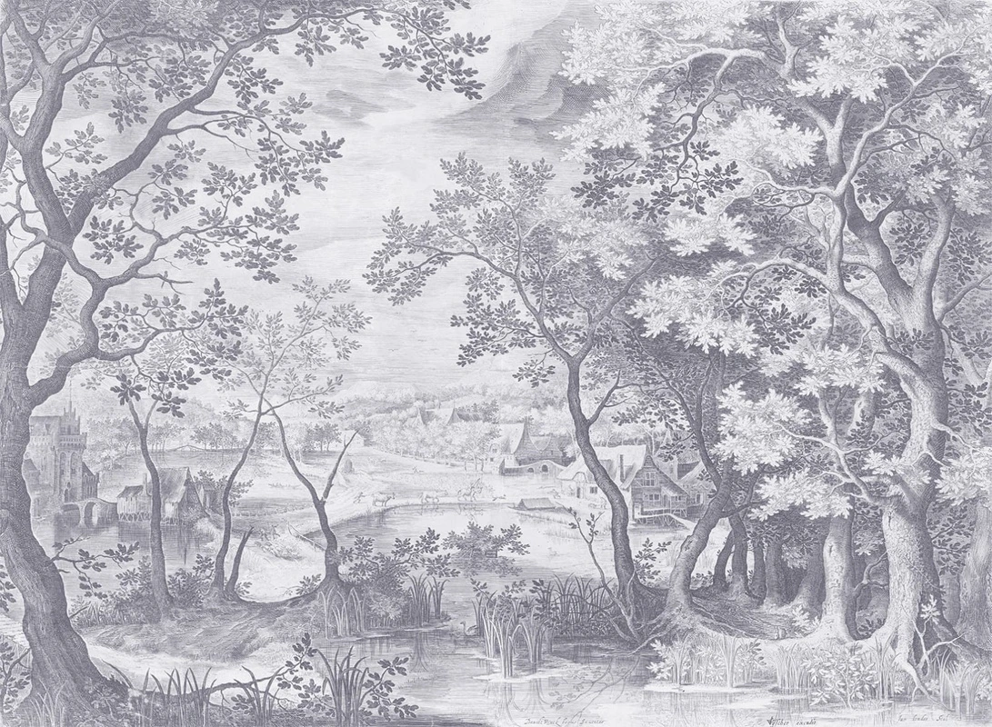 Фотообои на стену - пейзаж, серые, клены, природа, лес