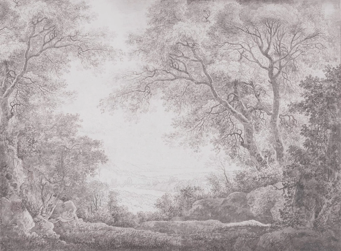 Фотообои на стену - пейзаж, серо-бежевые, новинки, природа русская, деревья, лес