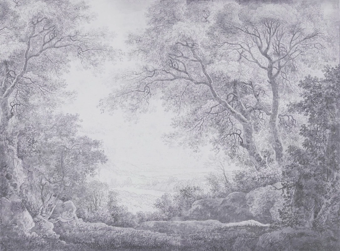 Фотообои на стену - пейзаж, серые, русская природа, деревья, лес