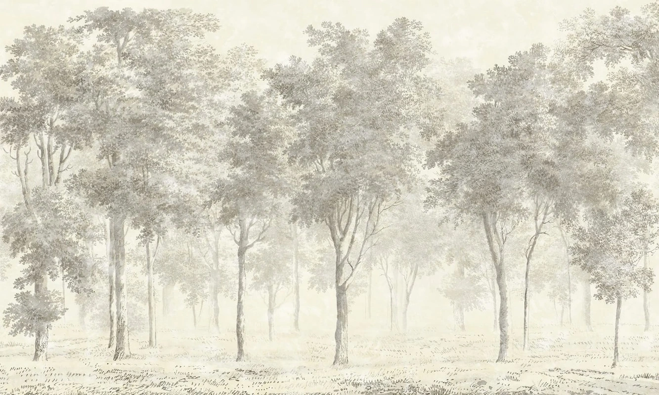 Фотообои на стену - пейзаж, бежевые, новинки, деревья в тумане, лес