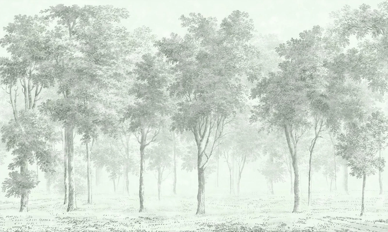 Фотообои на стену - пейзаж, серо-зеленые, новинки, деревья в тумане, стволы, лес