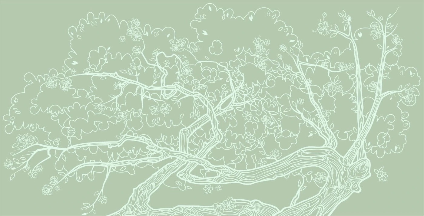 Фотообои на стену - графика, дерево, салатовые, ветки