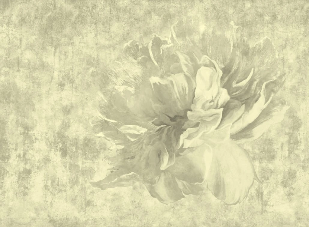 Фотообои на стену - цветок лофт, кремовые, рисунок штукатурки, лофт