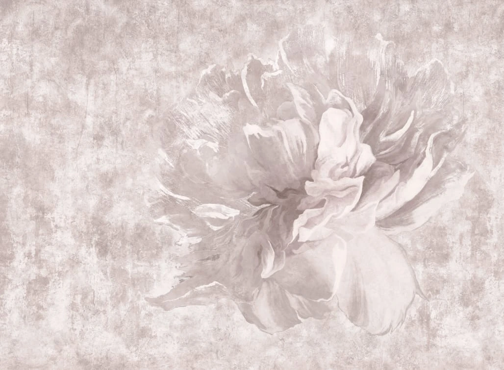 Фотообои и фрески на стену - цветок на штукатурке, нежно розовые, пудрового цвета, лофт