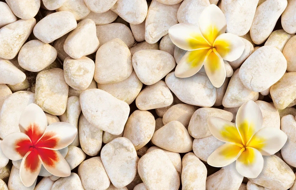 Фотообои на стену - камни, цветы, тропики, фоны, природа, флора, экзотика, натуральные материалы, минимализм, расслабляющая атмосфера, белые, жёлтые, красные