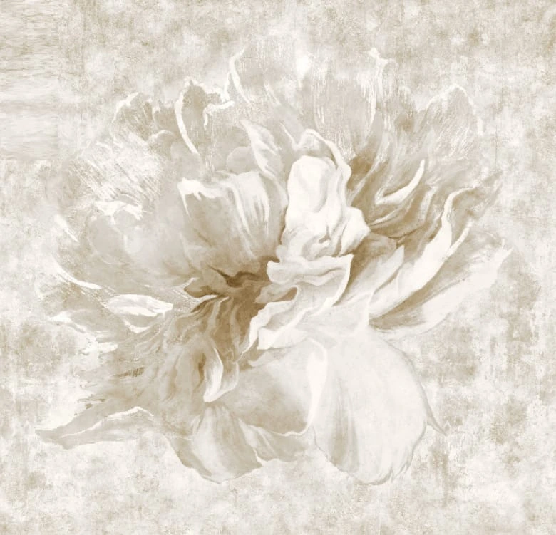 Фотообои на стену - цветы, лофт, цветок большой, крупный цветок, на штукатурке, светлые, пудровые цветы, пудрового цвета
