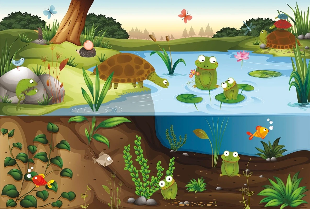 Фотообои на стену - подводный мир, лягушки, черепаха, озеро, река, в детскую комнату