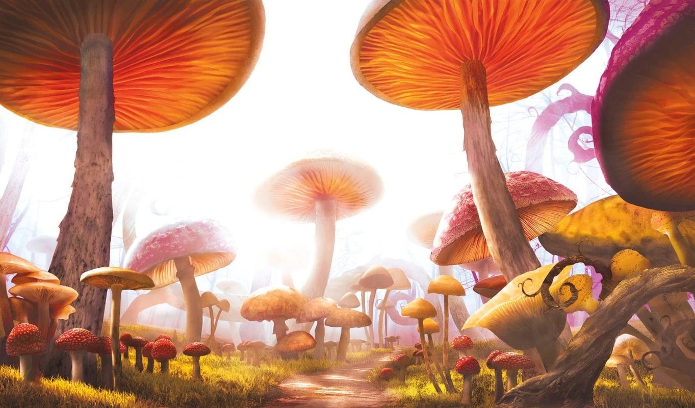 Фотообои на стену - детские, в детскую комнату, грибы, волшебные, сказочные