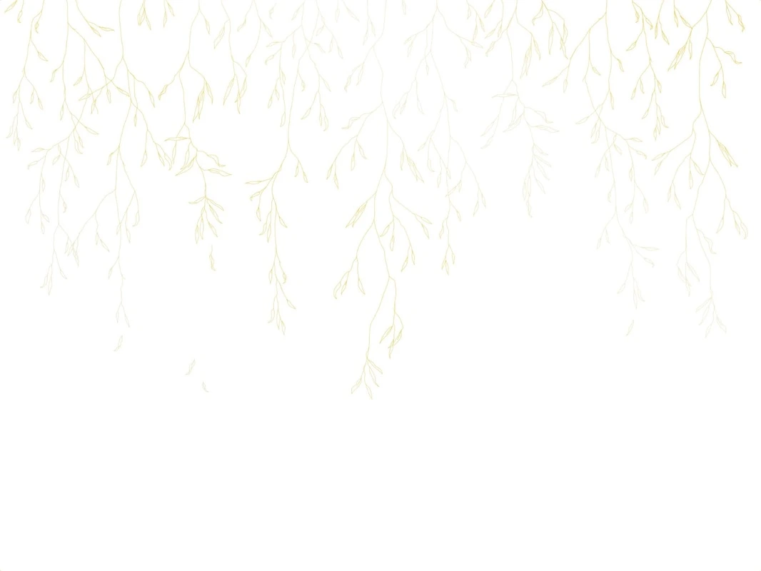 Фотообои на стену - графика, бело золотые обои, линии, золотые линии, обои золотые листья, ветки, листья