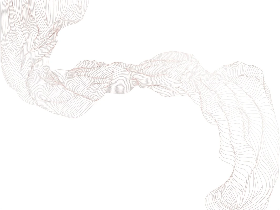 Фотообои на стену - графика, линии, бежевые, вуаль