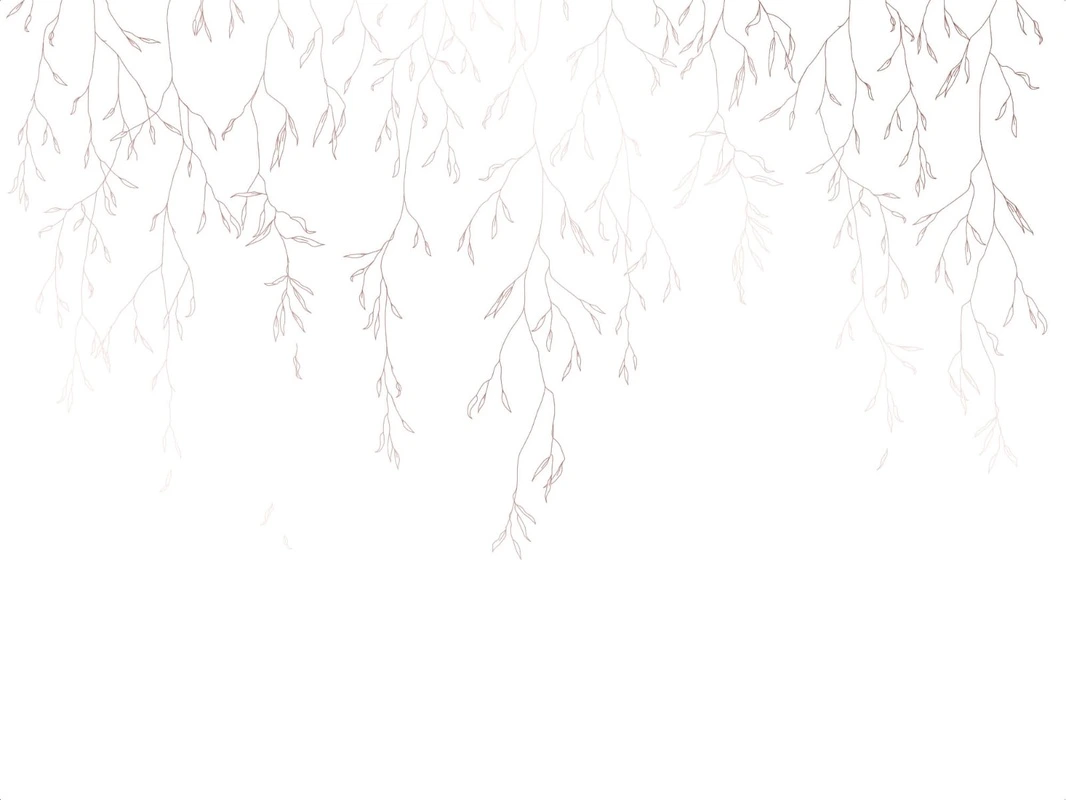 Фотообои на стену - графика, линии, бежевые, ветки, листья