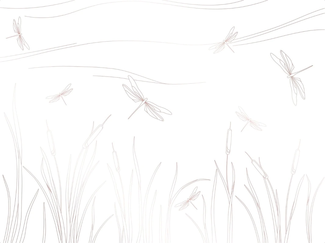 Фотообои на стену - графика, бежевая, бежевые, линии, трава, стрекозы