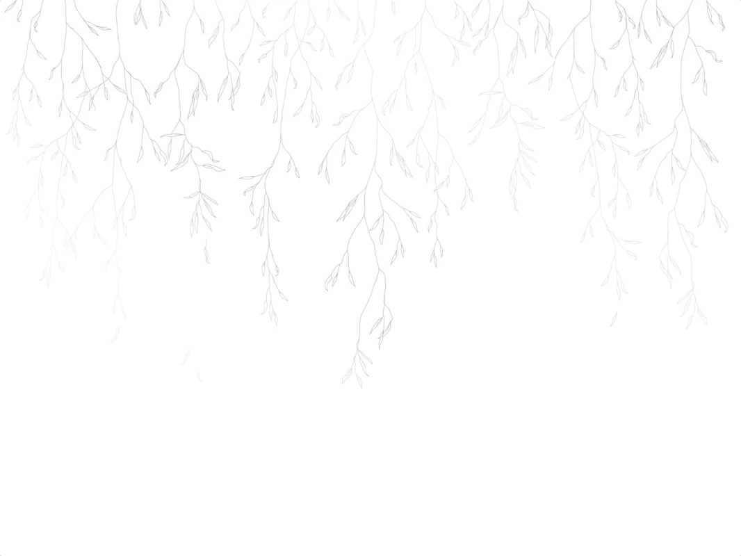 Фотообои на стену - графика, серые, линии, ветки, листья